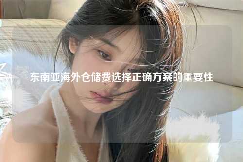 东南亚海外仓储费选择正确方案的重要性